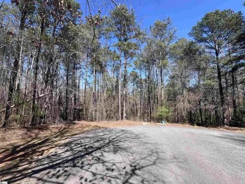 00 Golden Hickory Drive