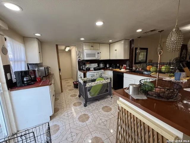 223 Zabra San Antonio, TX 78227