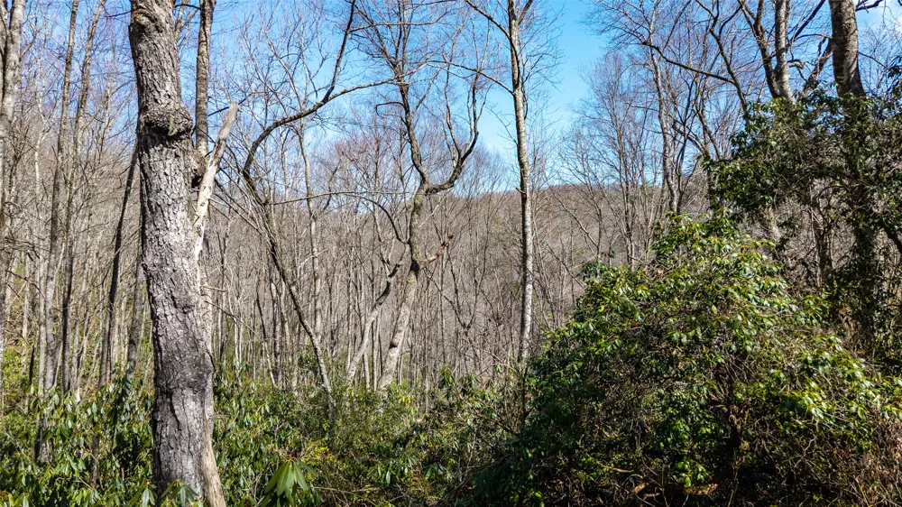 6 Norton Road Cashiers, NC 28717