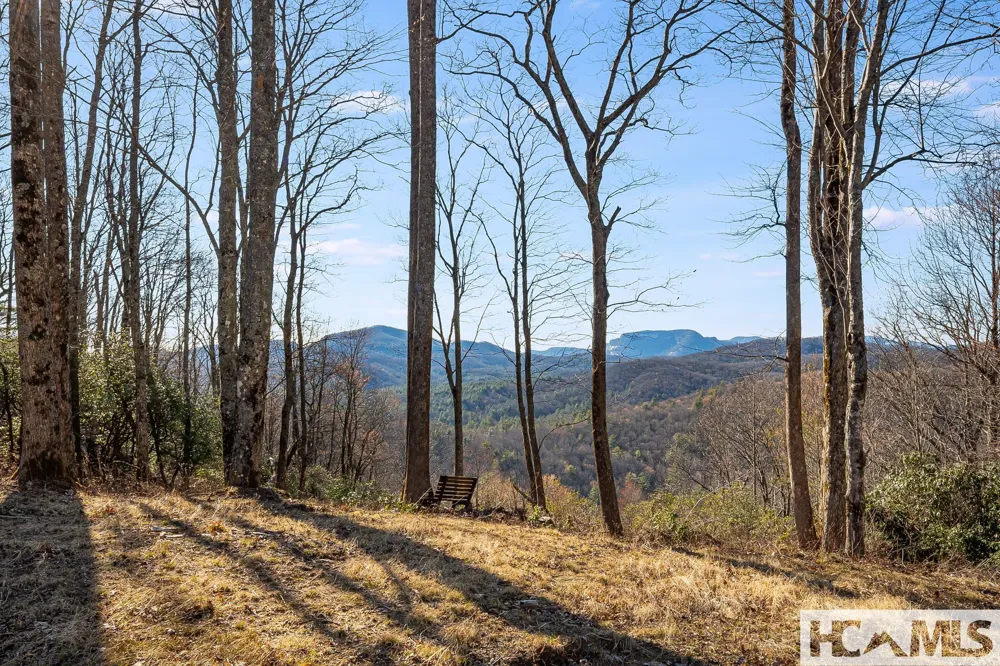951 Whitewater Ridge Road Sapphire, NC 28774