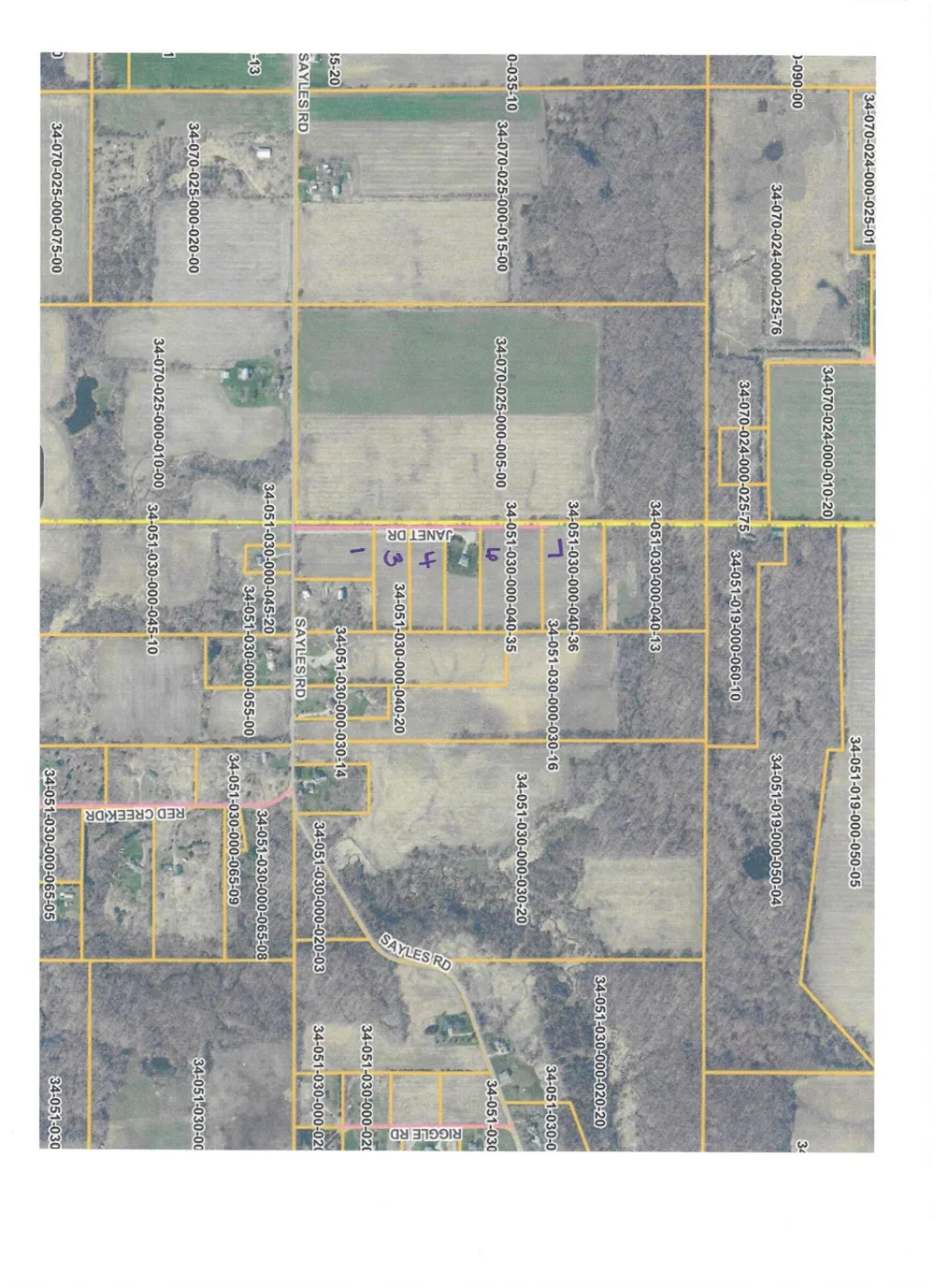 Janet Dr Parcel 1 Saranac, MI 48881
