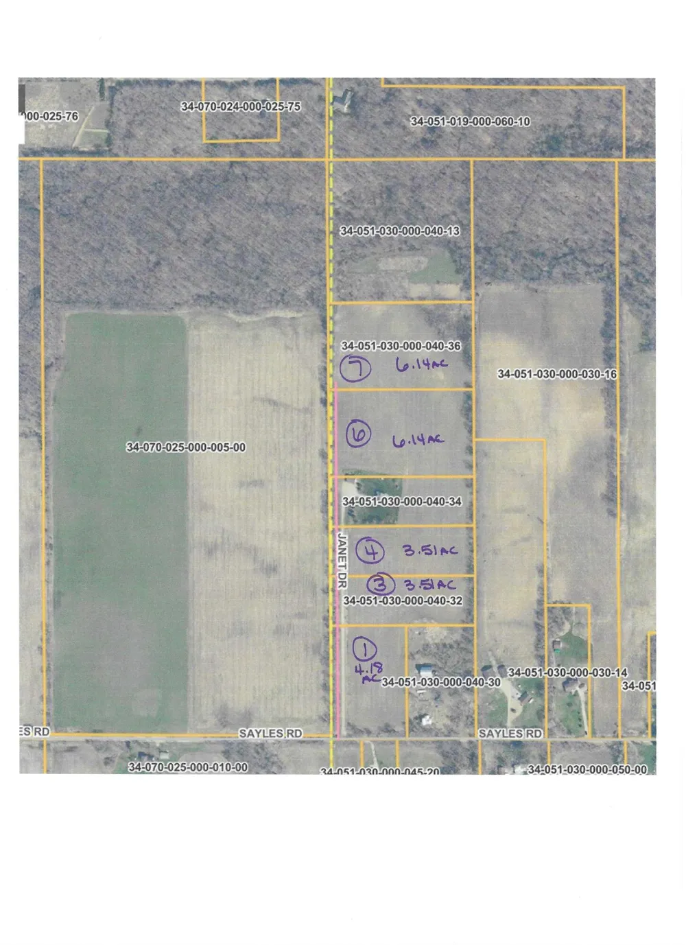 Janet Dr Parcel 1 Saranac, MI 48881