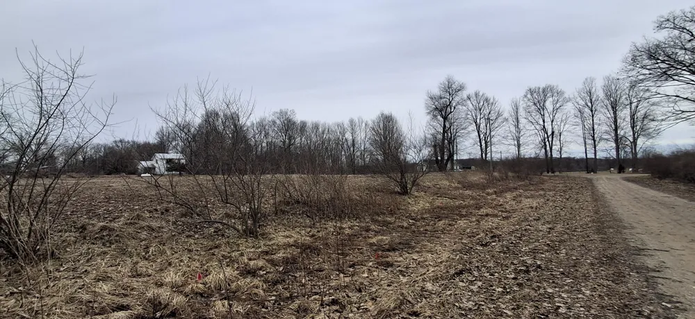 Janet Dr Parcel 1 Saranac, MI 48881