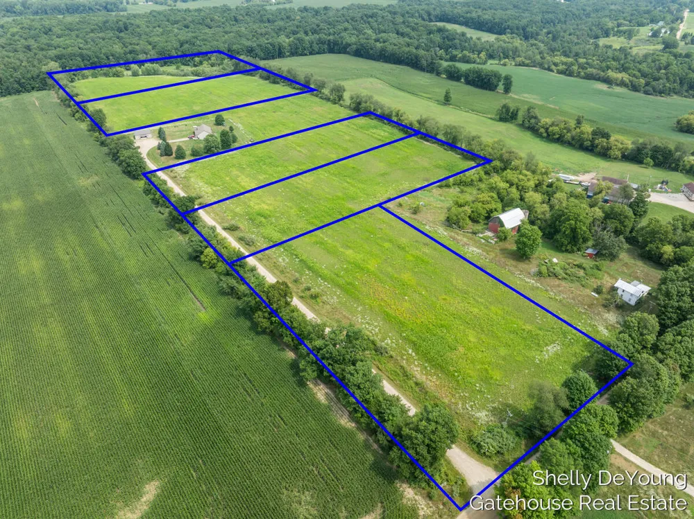 Janet Dr Parcel 1 Saranac, MI 48881
