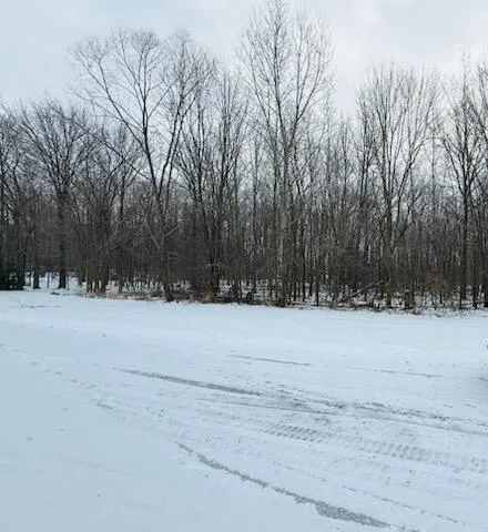 66 Hickory Trail Grand Blanc, MI 48439