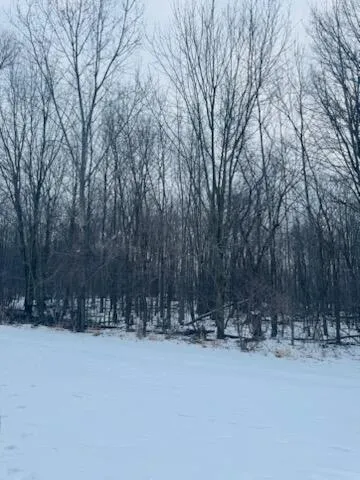 66 Hickory Trail Grand Blanc, MI 48439