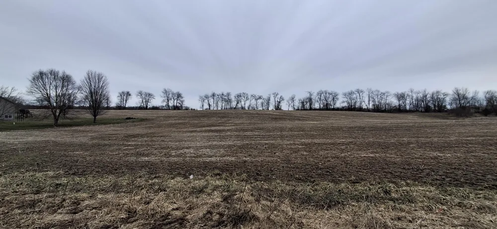 Janet Dr Parcel 4 Saranac, MI 48881