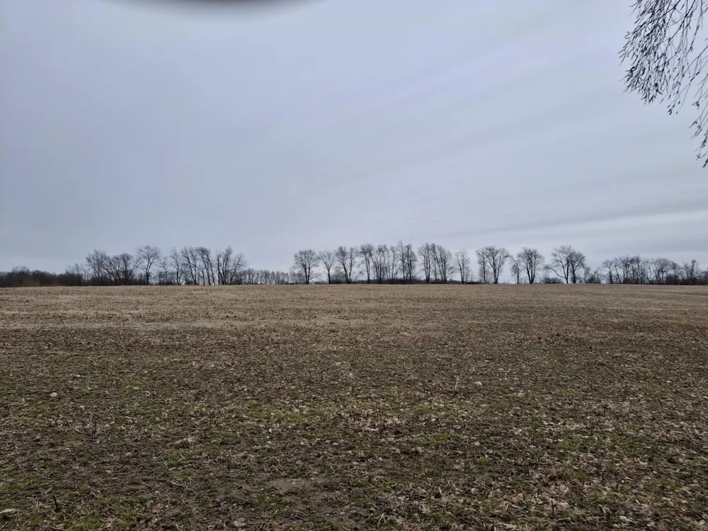 Janet Dr Parcel 7 Saranac, MI 48881