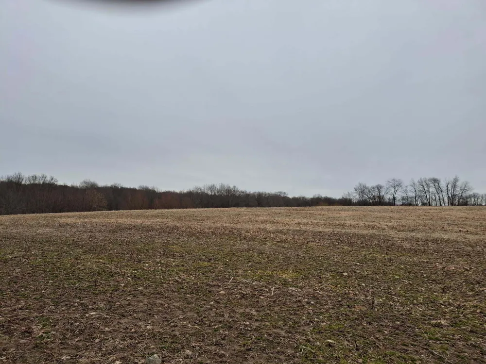 Janet Dr Parcel 7 Saranac, MI 48881