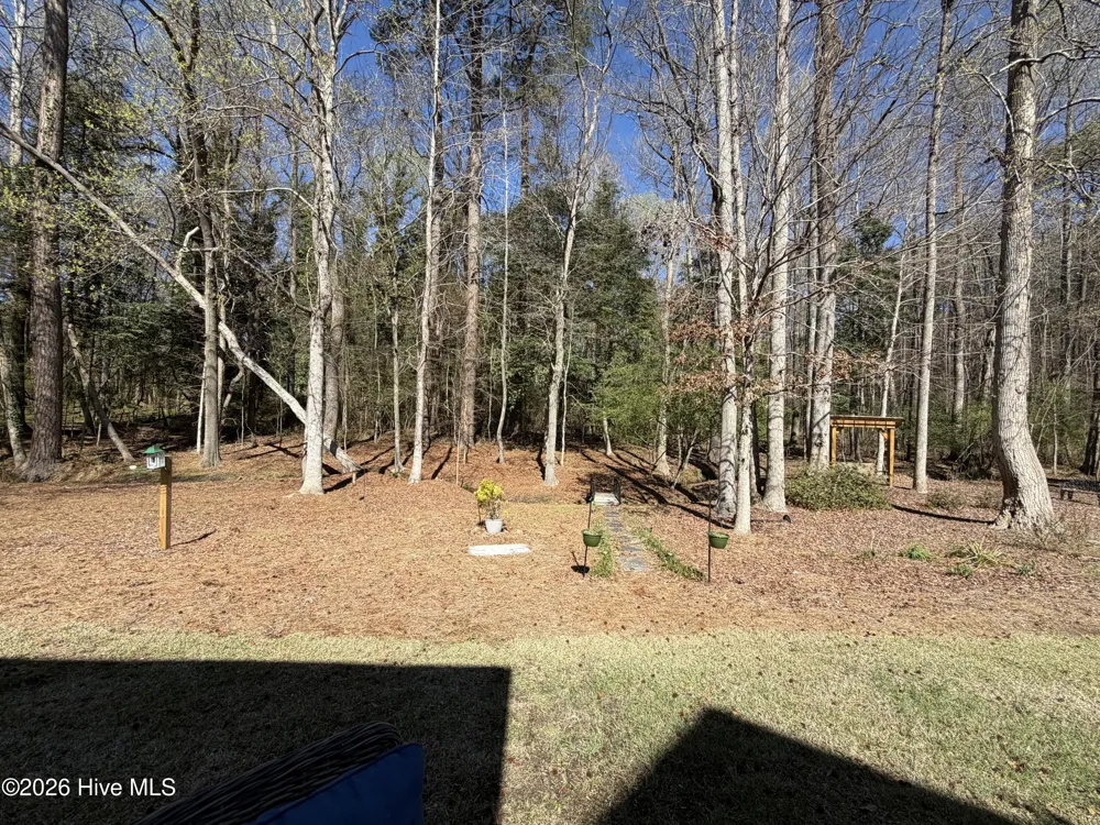 161 Lake Park Circle Smithfield, NC 27577