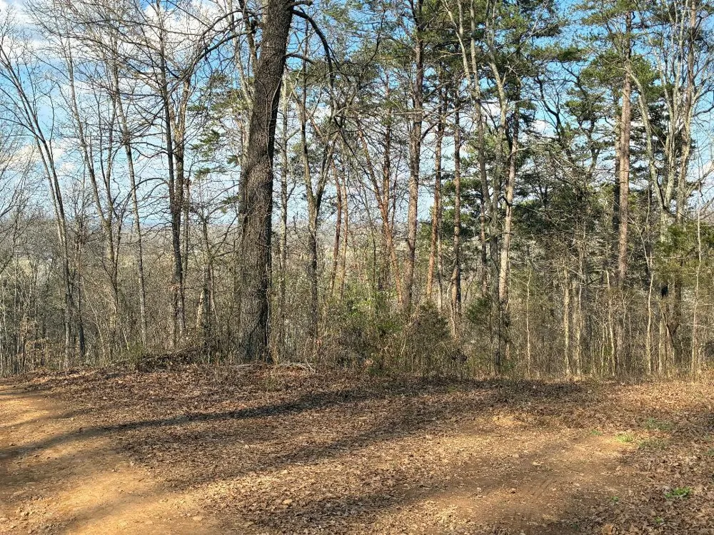 13356 Ellison Trace Birchwood, TN 37308