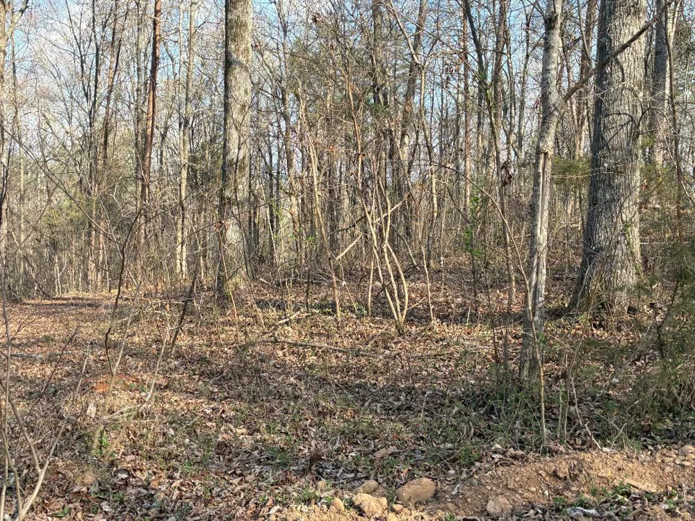 13356 Ellison Trace Birchwood, TN 37308