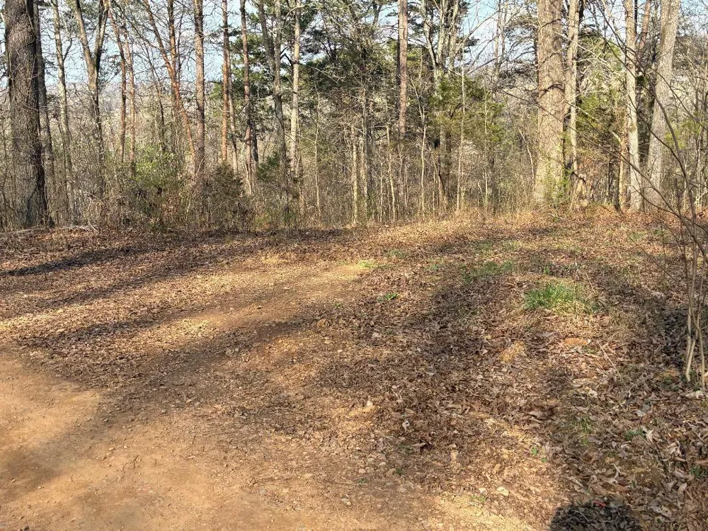 13356 Ellison Trace Birchwood, TN 37308