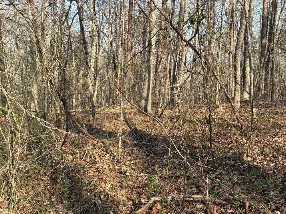 13356 Ellison Trace Birchwood, TN 37308