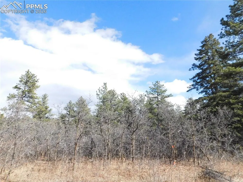8122 Acoma Drive Larkspur, CO 80118