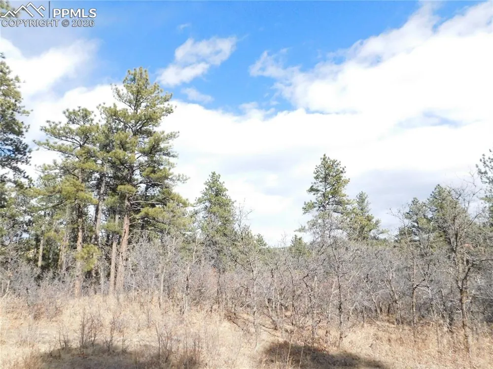 8122 Acoma Drive Larkspur, CO 80118