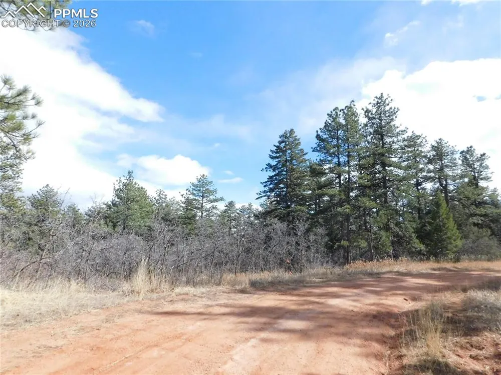 8122 Acoma Drive Larkspur, CO 80118