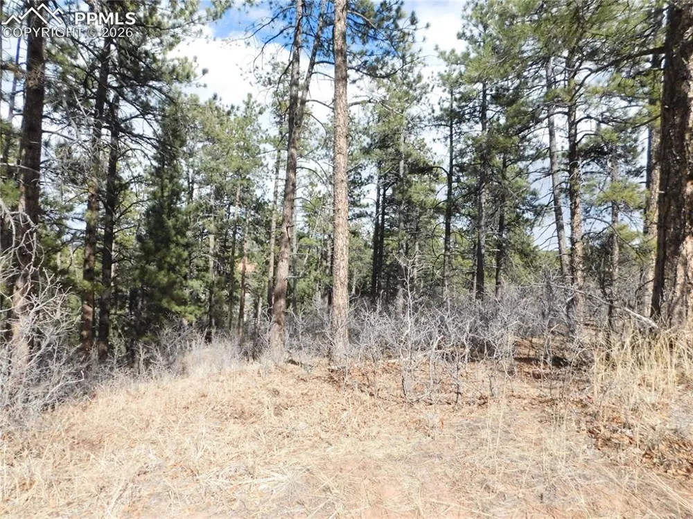 8122 Acoma Drive Larkspur, CO 80118