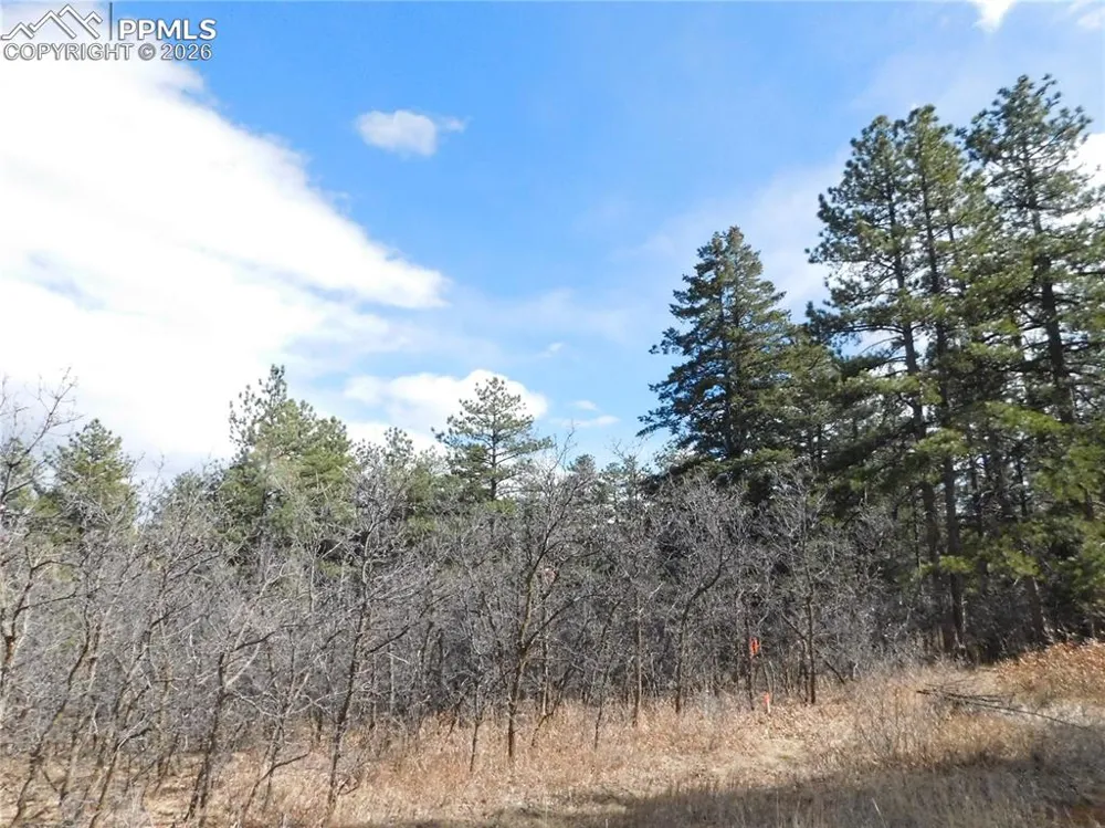 8122 Acoma Drive Larkspur, CO 80118