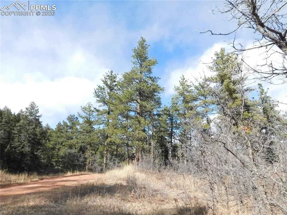 8122 Acoma Drive Larkspur, CO 80118