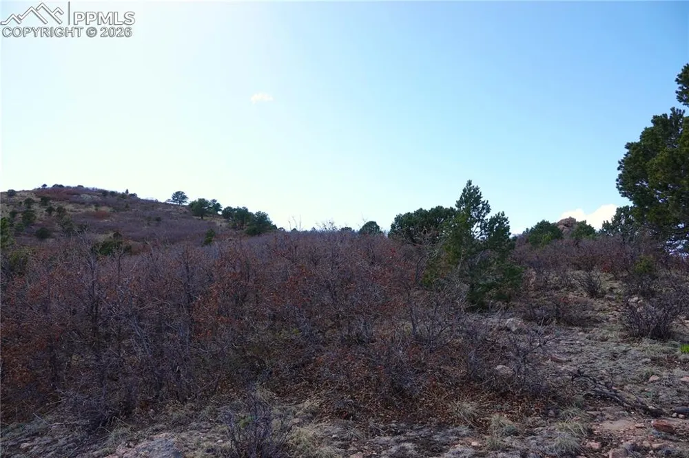 Lot 1 County Road 5 Canon City, CO 81212