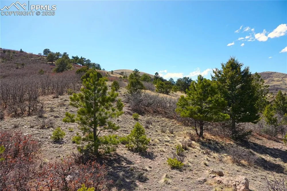 Lot 1 County Road 5 Canon City, CO 81212