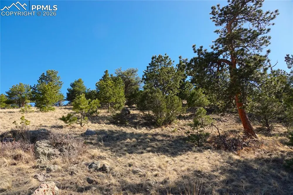 Lot 1 County Road 5 Canon City, CO 81212