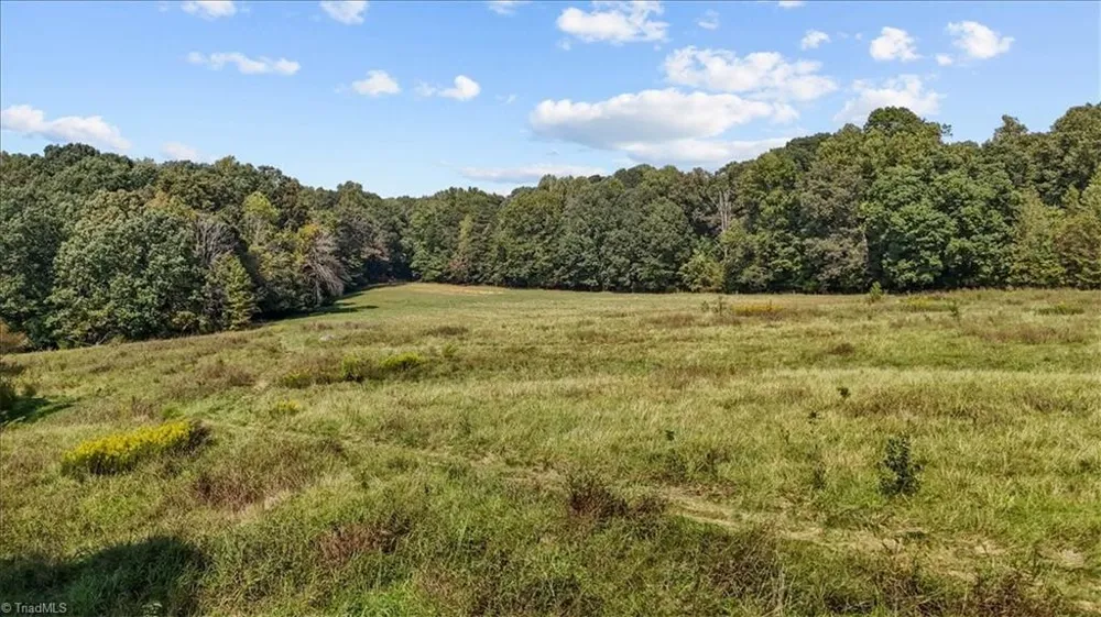 2385 Clacie Lane Liberty, NC 27298