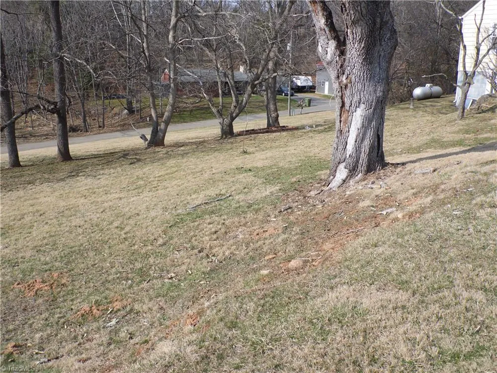 232 Riverview Drive Sparta, NC 28675