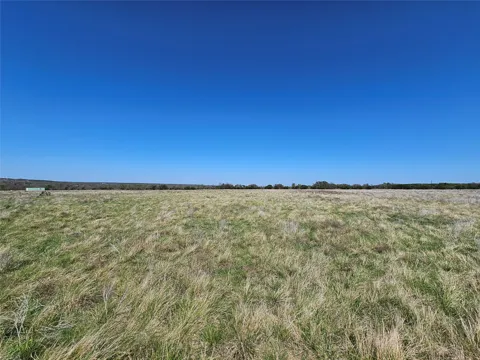 Cattle Trail
