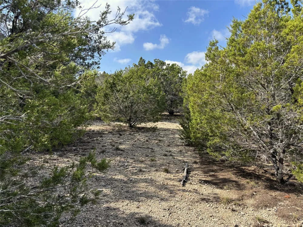 9 Burnet Oaks Drive Burnet, TX 78611