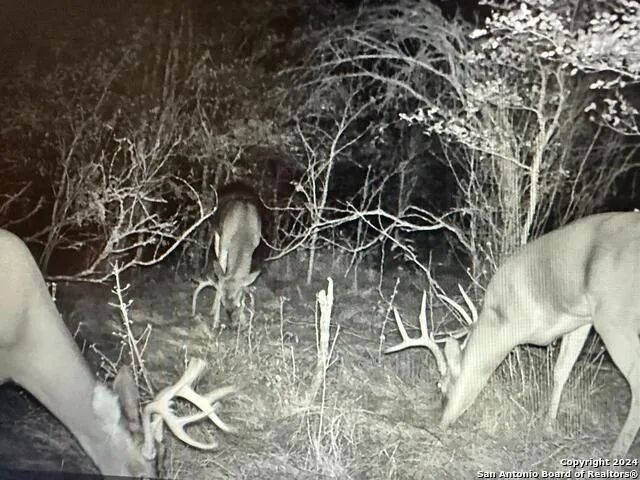 13004 FM 3353 Kingsbury, TX 78638