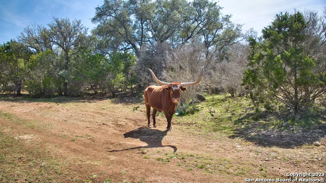 19316 Ranch Road 1871 Mason, TX 76856