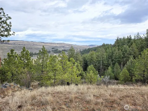 315 W Corral Drive