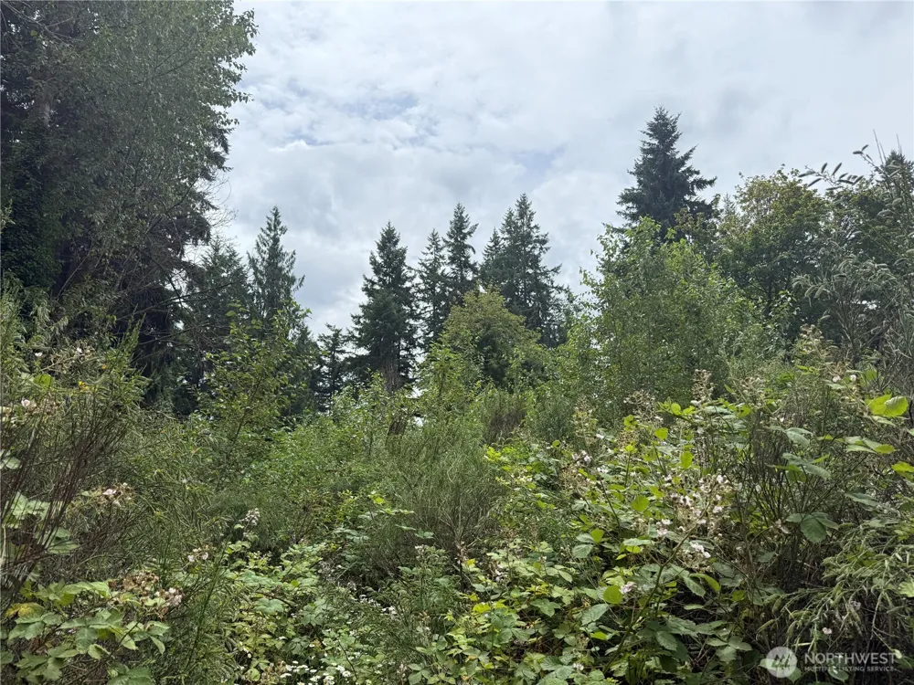 3219 Auburn Way S Auburn, WA 98092