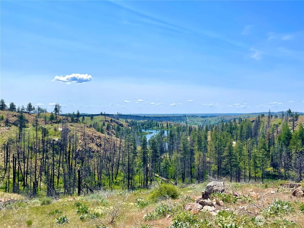 0 TBD Madd Mtn Road Okanogan, WA 98840