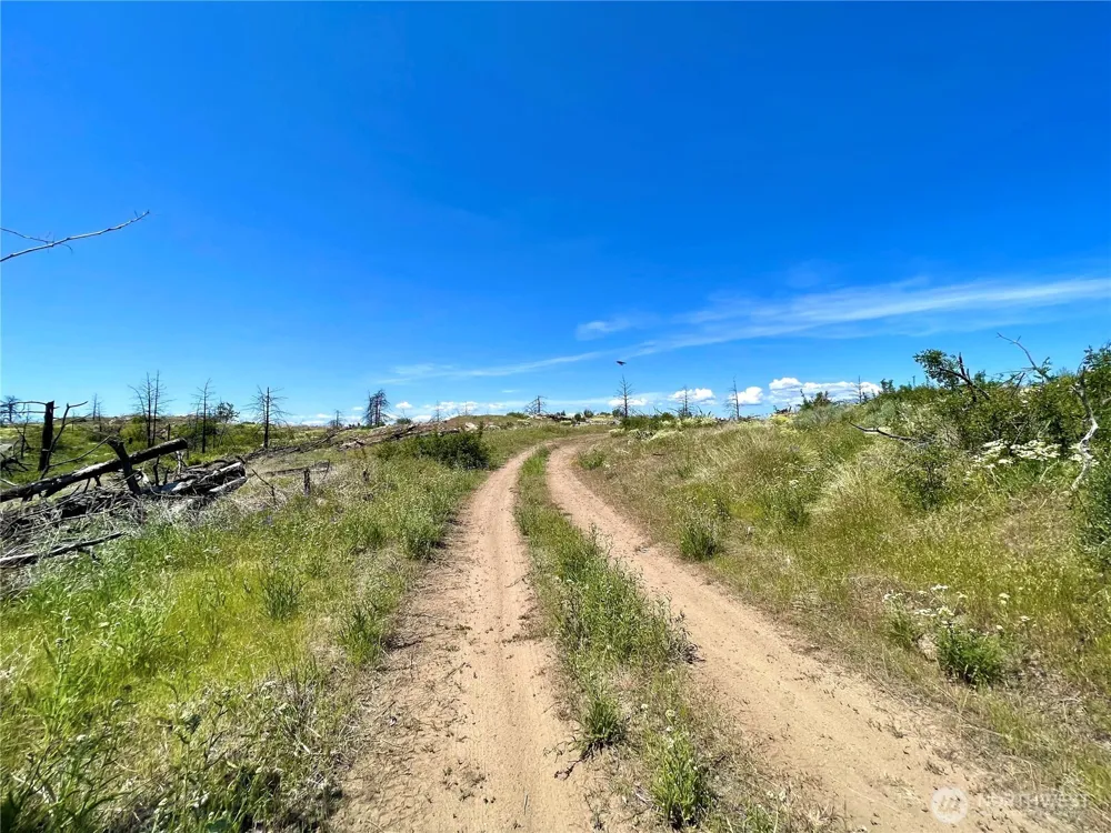 0 TBD Madd Mtn Road Okanogan, WA 98840