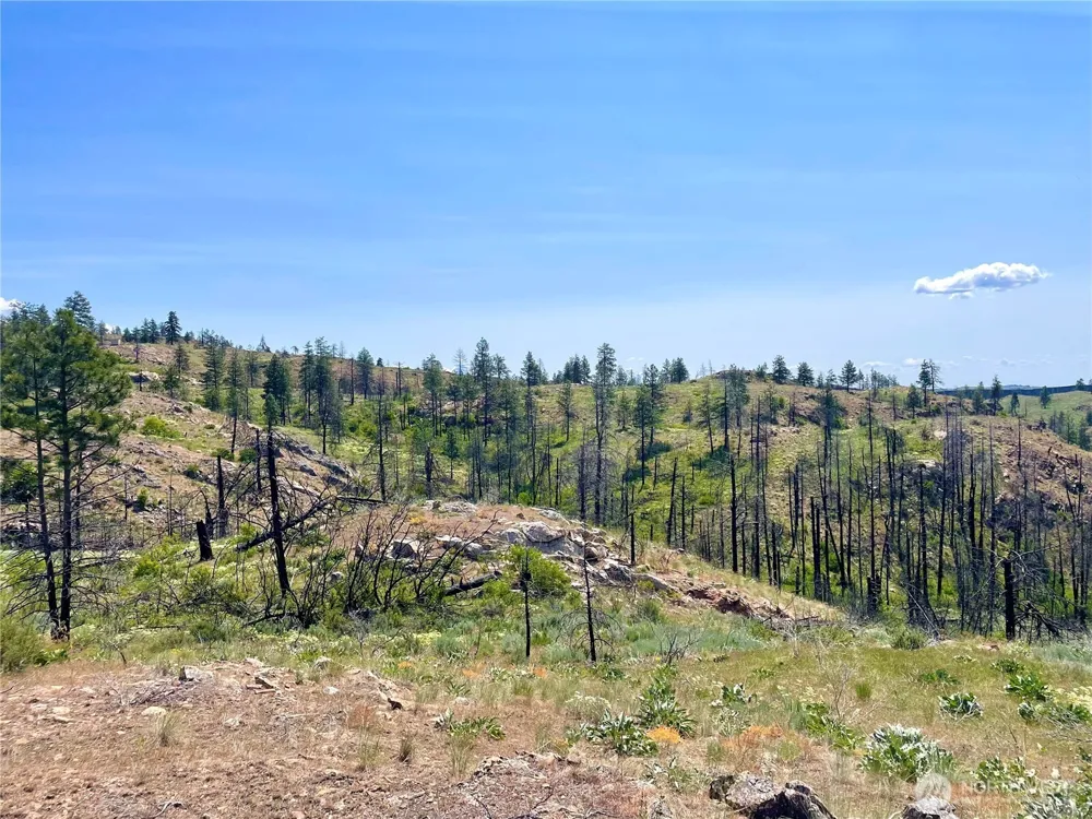 0 TBD Madd Mtn Road Okanogan, WA 98840