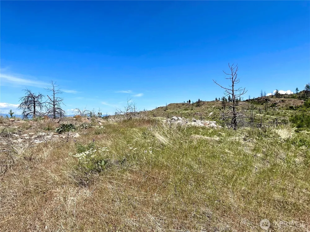 0 TBD Madd Mtn Road Okanogan, WA 98840