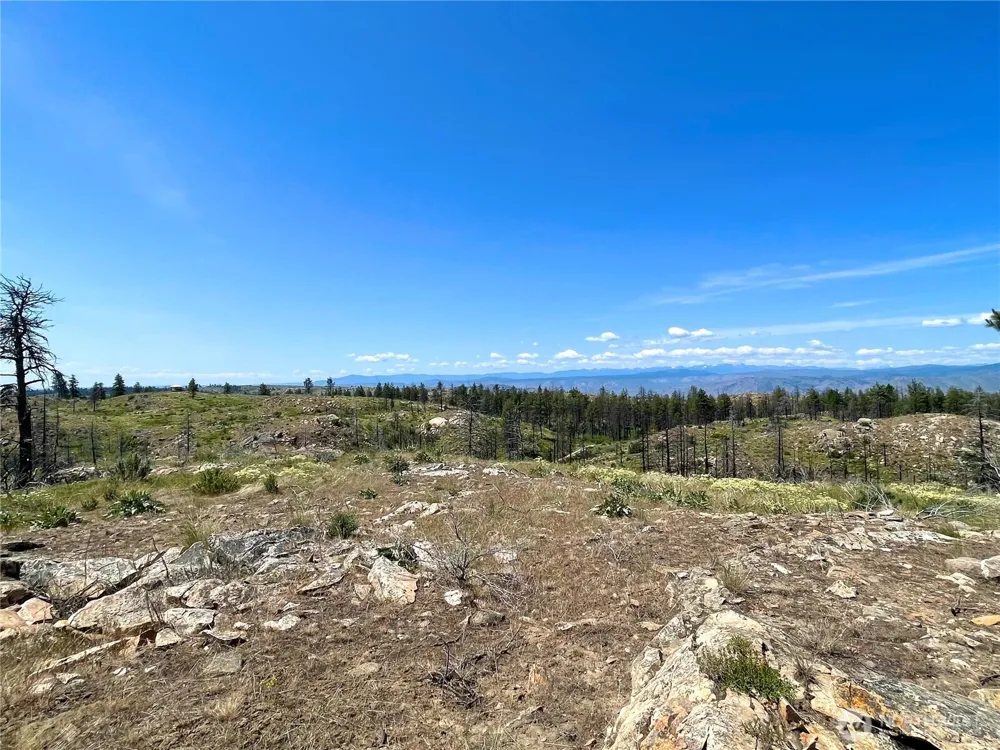 0 TBD Madd Mtn Road Okanogan, WA 98840