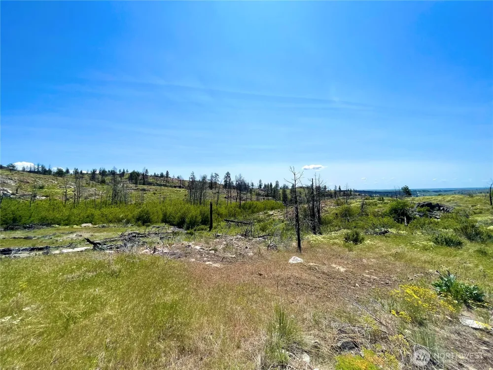 0 TBD Madd Mtn Road Okanogan, WA 98840