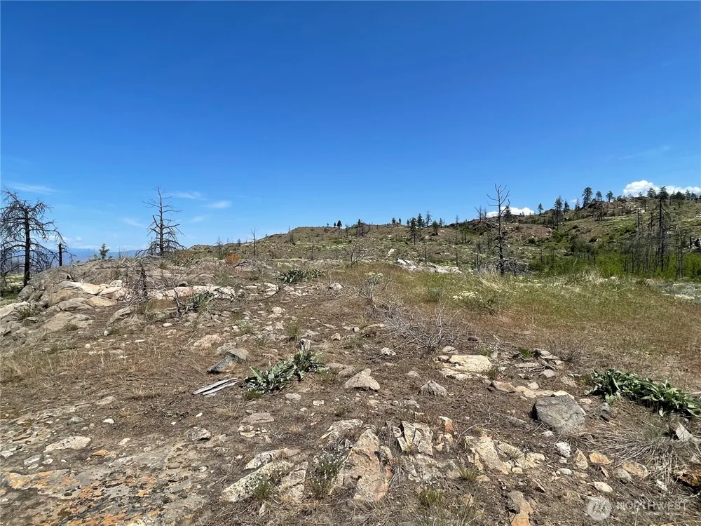 0 TBD Madd Mtn Road Okanogan, WA 98840
