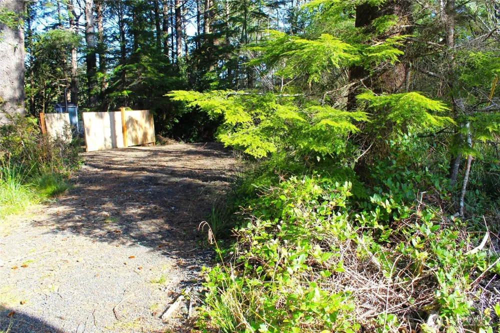 43 Dolphin Lane Copalis Beach, WA 98535