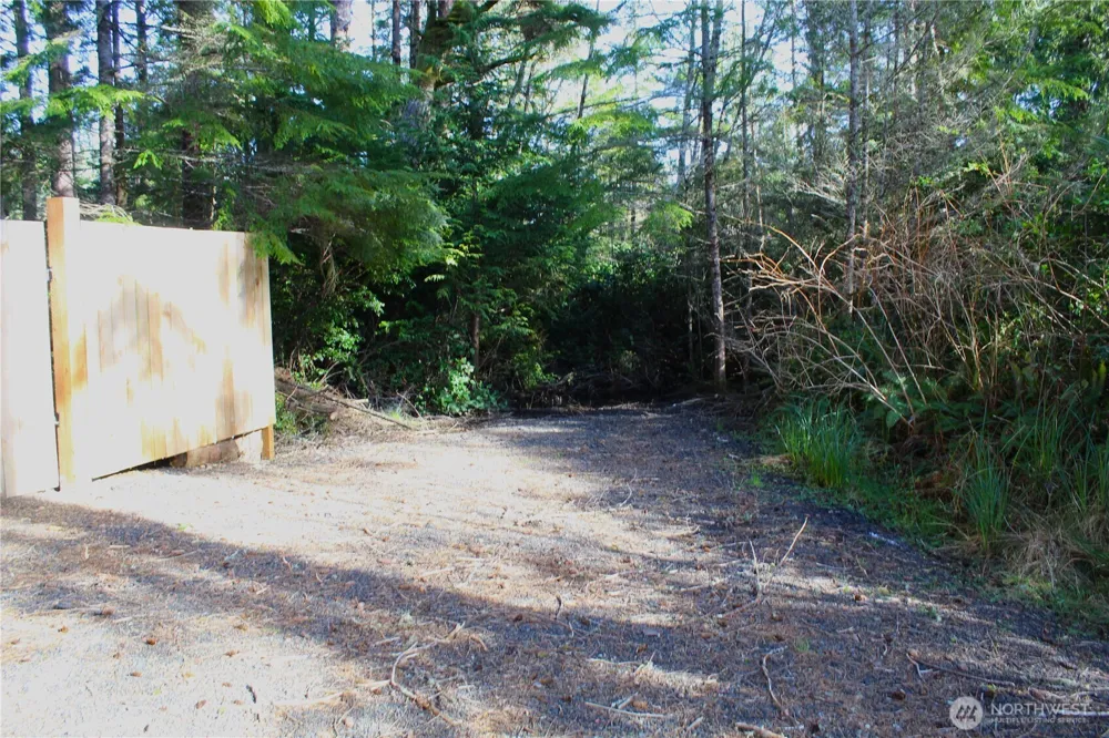 43 Dolphin Lane Copalis Beach, WA 98535