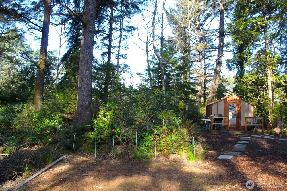 43 Dolphin Lane Copalis Beach, WA 98535