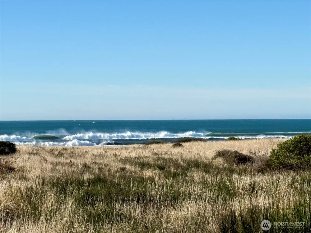 1 XX Strand Street Westport, WA 98595