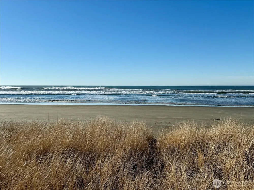 1 XX Strand Street Westport, WA 98595