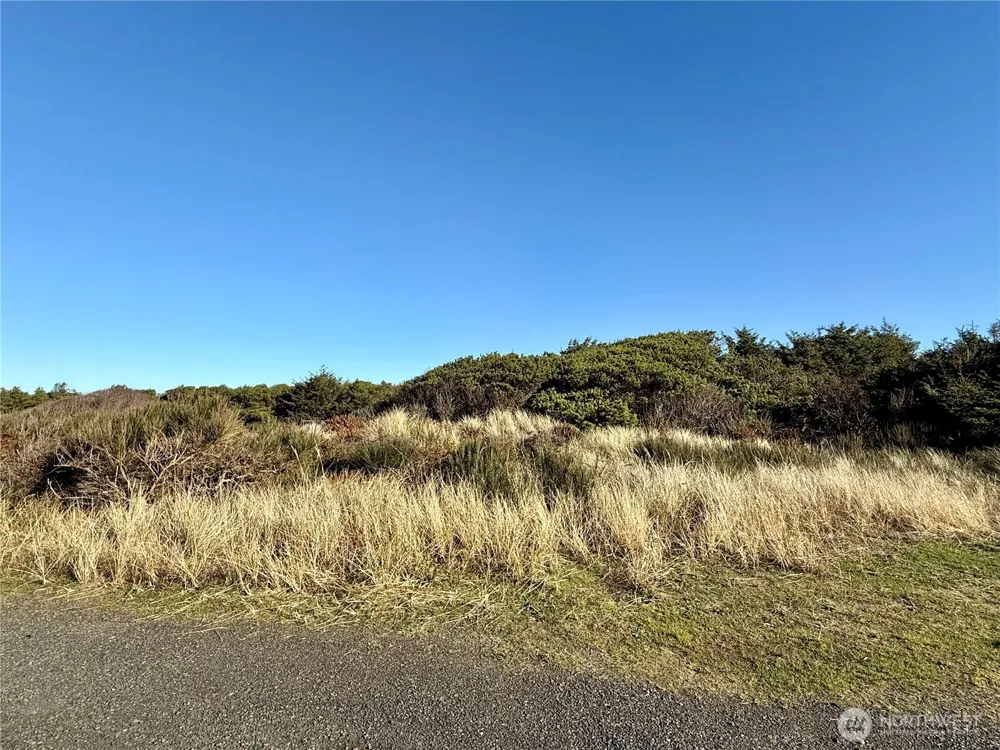 1 XX Strand Street Westport, WA 98595