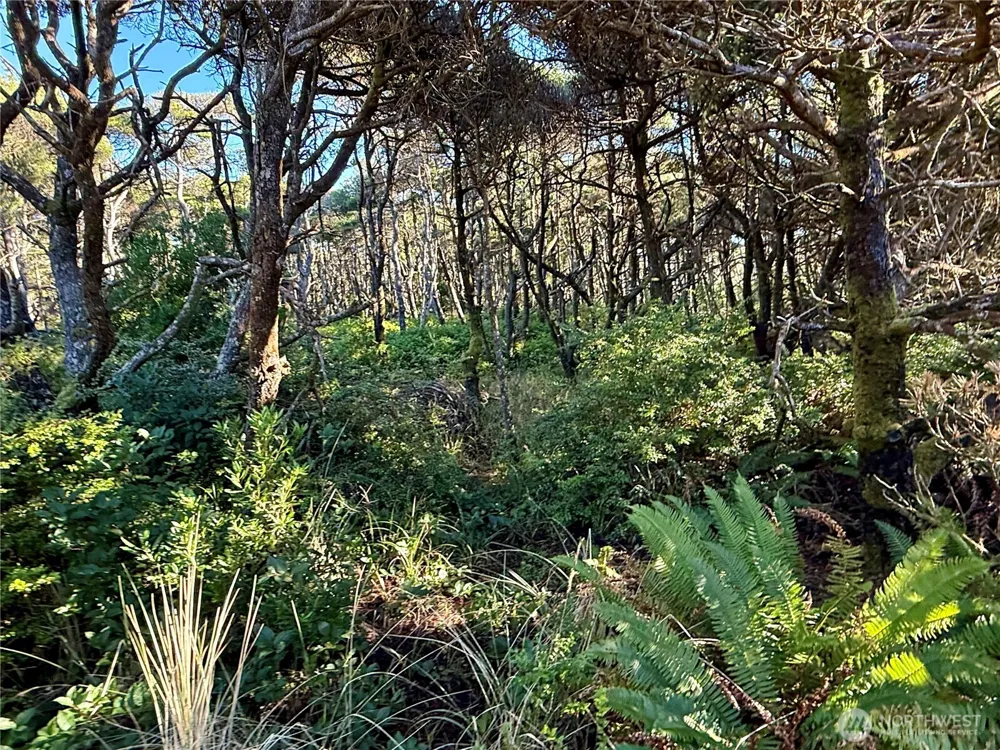 1 XX Strand Street Westport, WA 98595