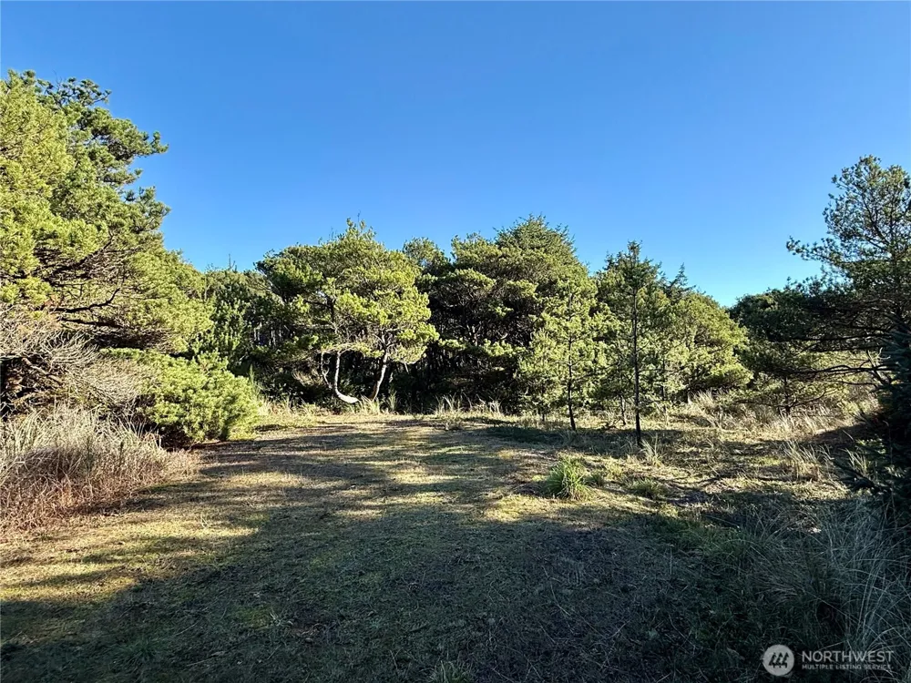1 XX Strand Street Westport, WA 98595
